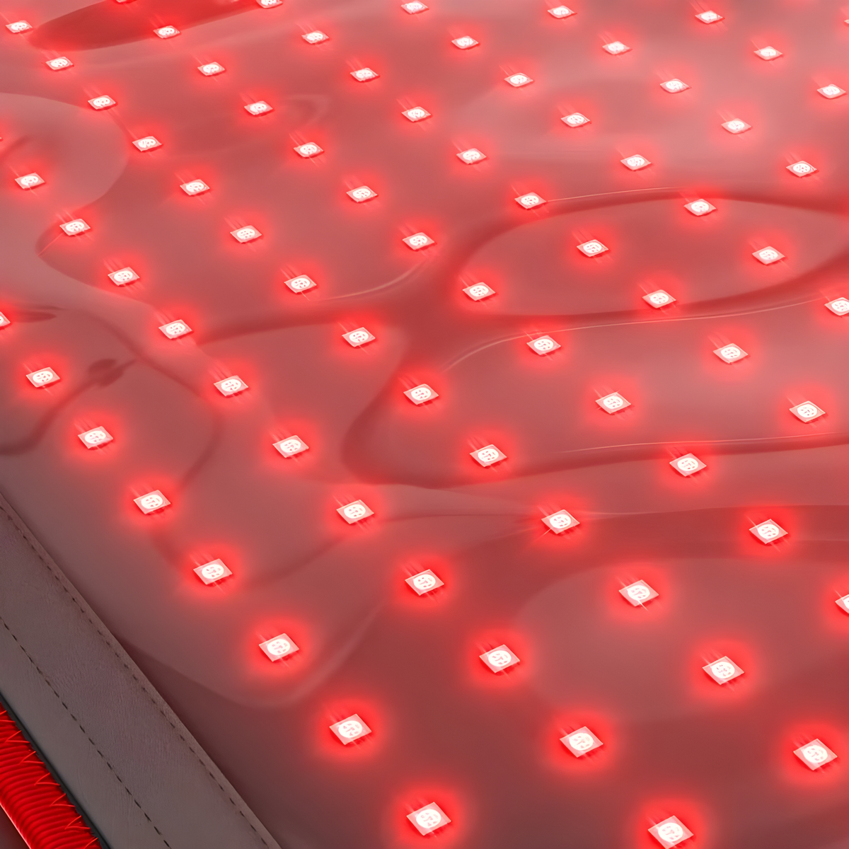 Shopseras™ - Wavelength Belt